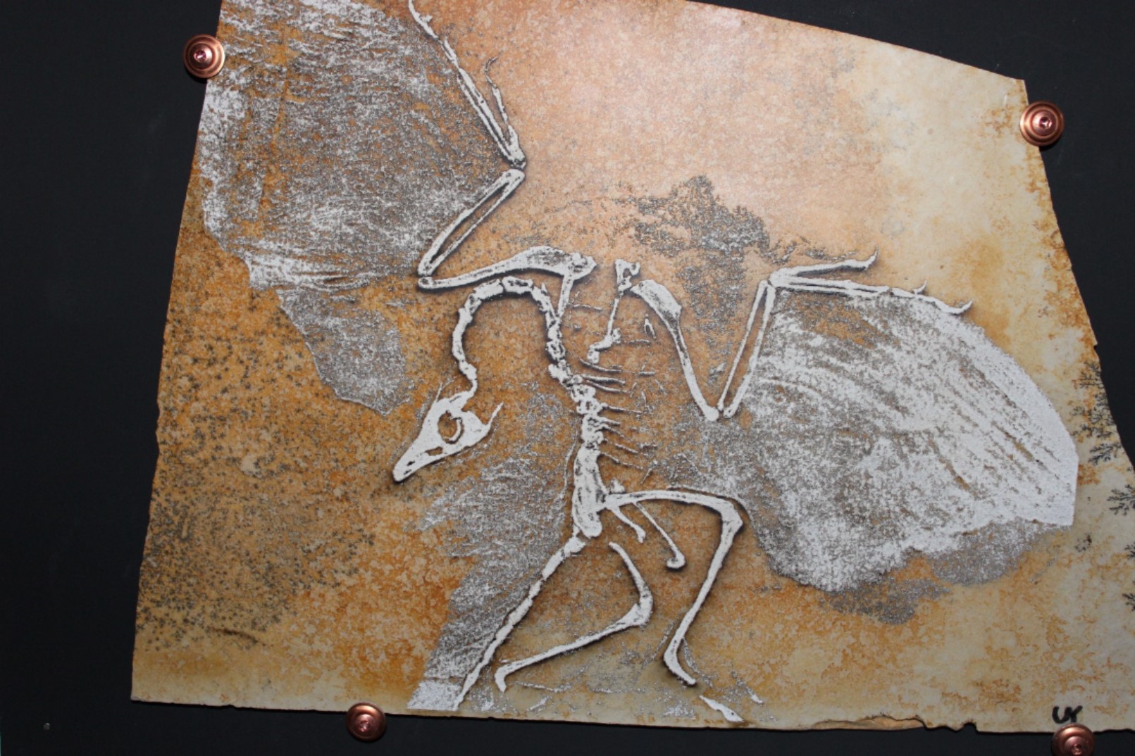 Archaeopteryx 32x28 cm 