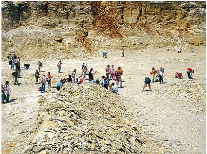Gel&auml;nde des Fossiliensteinbruchs am Blumenberg